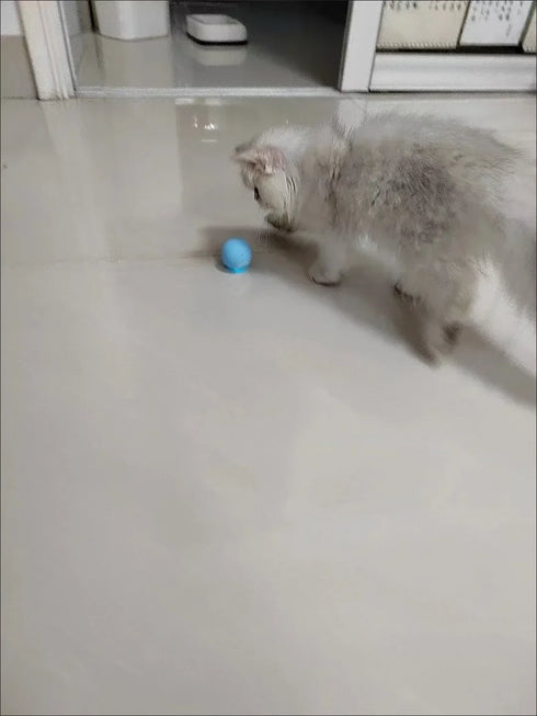 Smart Interactive Rolling Ball for Cats – Electronic Indoor Toy